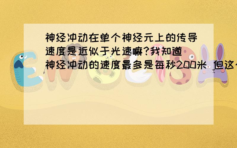 神经冲动在单个神经元上的传导速度是近似于光速嘛?我知道 神经冲动的速度最多是每秒200米 但这个包括了 神经元之间的传递 那个需要神经递质 要慢的多 我问的是一个神经元上的速度  他