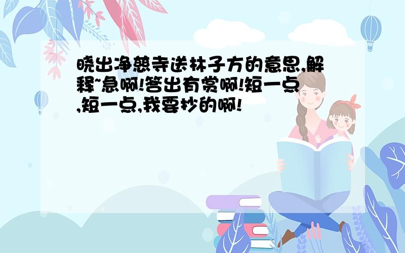 晓出净慈寺送林子方的意思,解释~急啊!答出有赏啊!短一点,短一点,我要抄的啊!