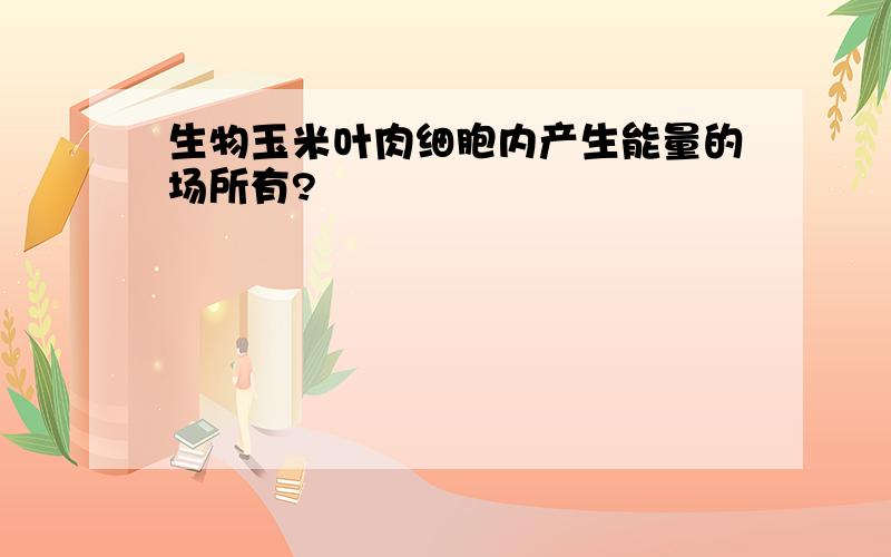 生物玉米叶肉细胞内产生能量的场所有?