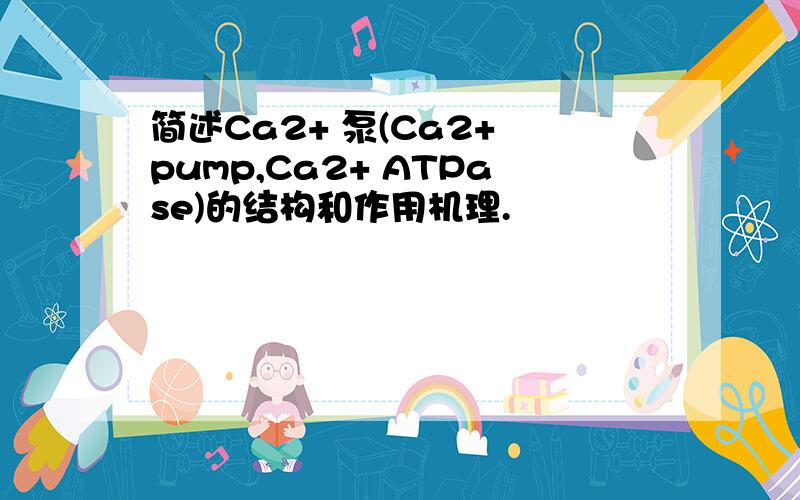 简述Ca2+ 泵(Ca2+ pump,Ca2+ ATPase)的结构和作用机理.