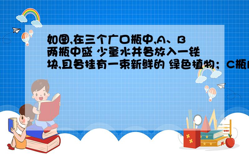 如图,在三个广口瓶中,A、B两瓶中盛 少量水并各放入一铁块,且各挂有一束新鲜的 绿色植物；C瓶内放入干燥如图,在三个广口瓶中,A、B两瓶中盛少量水并各放入一铁块,且各挂有一束新鲜的绿色