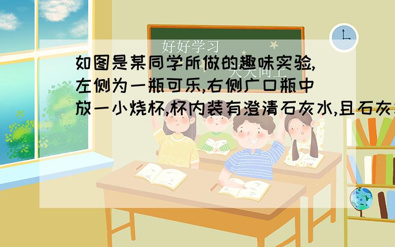 如图是某同学所做的趣味实验,左侧为一瓶可乐,右侧广口瓶中放一小烧杯,杯内装有澄清石灰水,且石灰水中漂浮一个塑料小球,若用手摇一摇可乐瓶,一段时间后,B装置中会观察到的现象是,原因