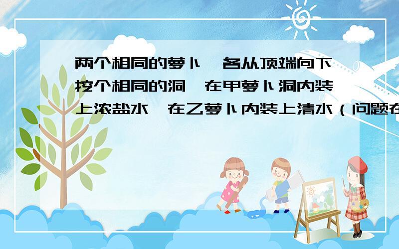 两个相同的萝卜,各从顶端向下挖个相同的洞,在甲萝卜洞内装上浓盐水,在乙萝卜内装上清水（问题在后面）一段时间后会看到,哪个萝卜内的水位会上升?偶系张释文,正在做作业,