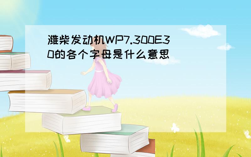 潍柴发动机WP7.300E30的各个字母是什么意思