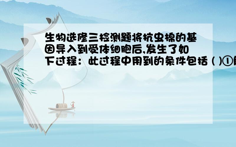 生物选修三检测题将抗虫棉的基因导入到受体细胞后,发生了如下过程：此过程中用到的条件包括 ( )①解旋酶 ②DNA聚合酶 ③DNA连接酶 ④限制酶 ⑤RNA聚合酶 ⑥4种核苷酸 ⑦5种核苷酸 ⑧8种核