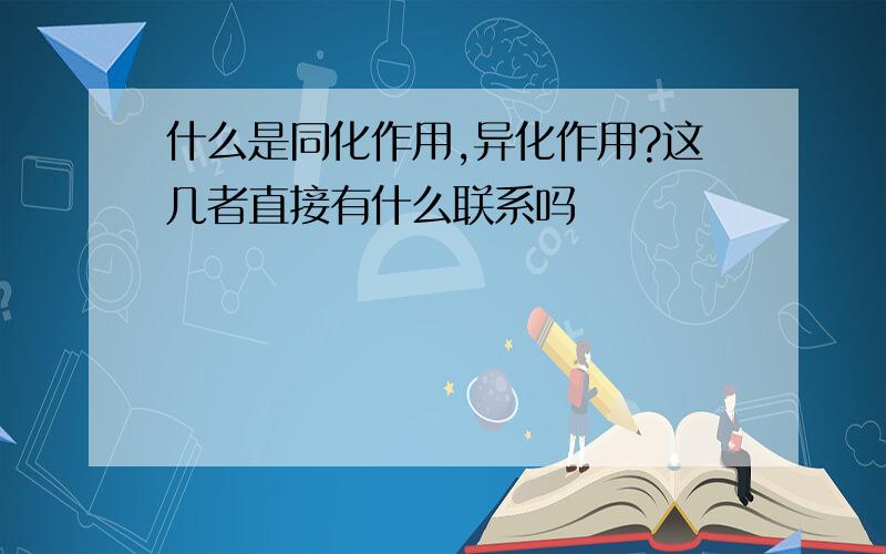 什么是同化作用,异化作用?这几者直接有什么联系吗