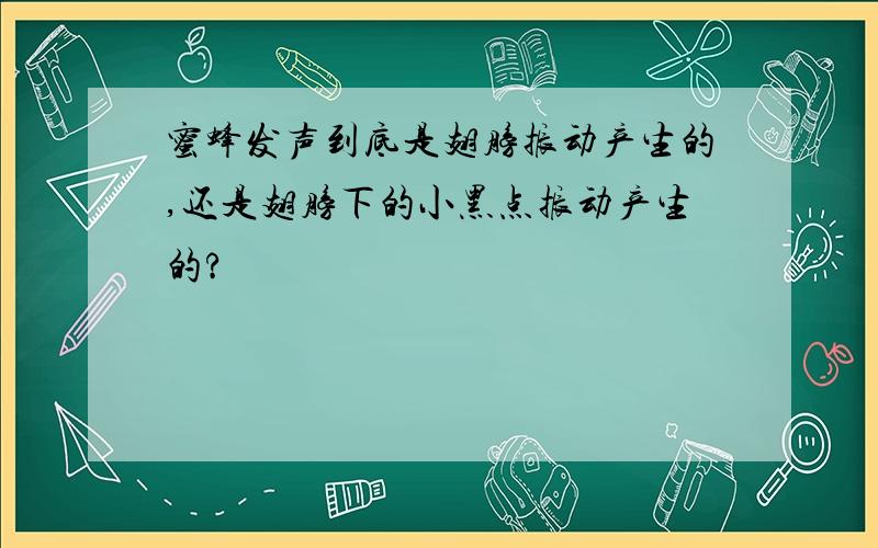 蜜蜂发声到底是翅膀振动产生的,还是翅膀下的小黑点振动产生的?