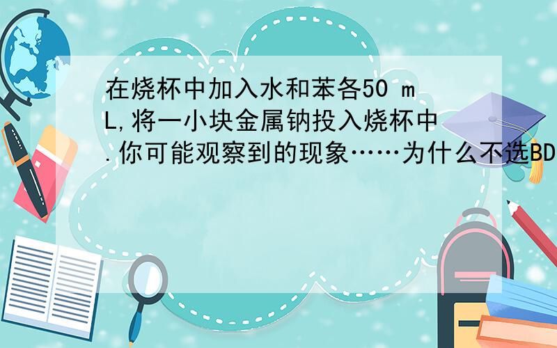 在烧杯中加入水和苯各50 mL,将一小块金属钠投入烧杯中.你可能观察到的现象……为什么不选BD?为什么会没有声音?