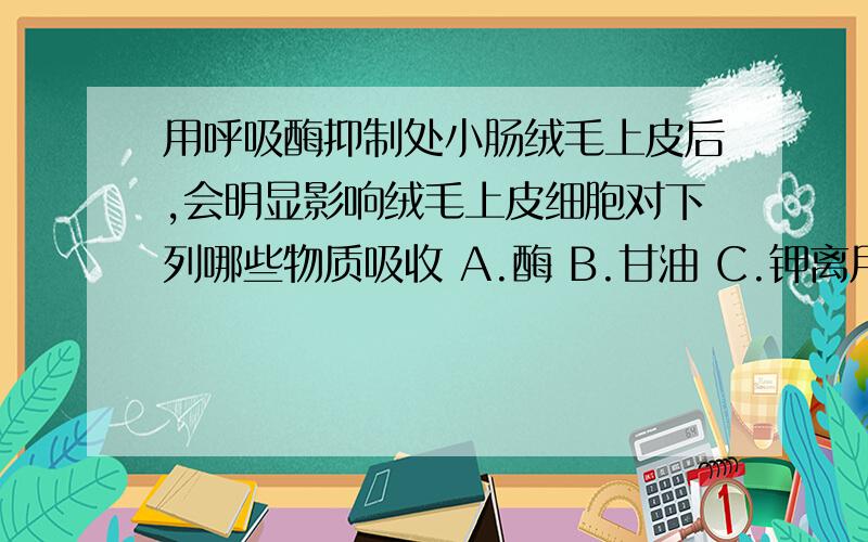 用呼吸酶抑制处小肠绒毛上皮后,会明显影响绒毛上皮细胞对下列哪些物质吸收 A.酶 B.甘油 C.钾离用呼吸酶抑制处小肠绒毛上皮后,会明显影响绒毛上皮细胞对下列哪些物质吸收A.酶 B.甘油 C.钾