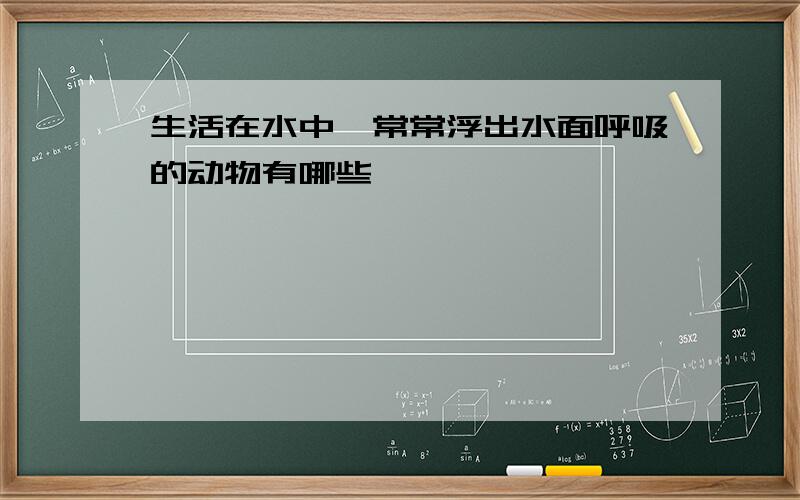 生活在水中,常常浮出水面呼吸的动物有哪些