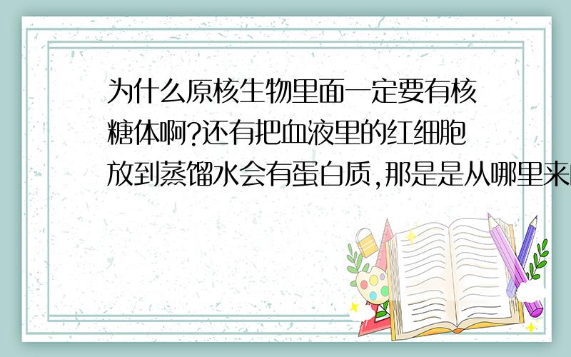 为什么原核生物里面一定要有核糖体啊?还有把血液里的红细胞放到蒸馏水会有蛋白质,那是是从哪里来的.