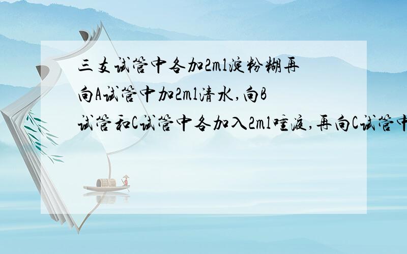 三支试管中各加2ml淀粉糊再向A试管中加2ml清水,向B试管和C试管中各加入2ml唾液,再向C试管中滴入一滴稀碘液3根试管有什么变化