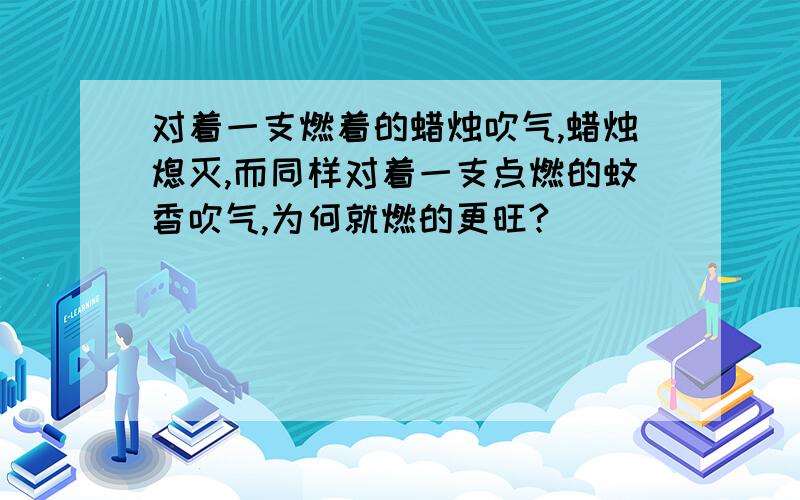 对着一支燃着的蜡烛吹气,蜡烛熄灭,而同样对着一支点燃的蚊香吹气,为何就燃的更旺?