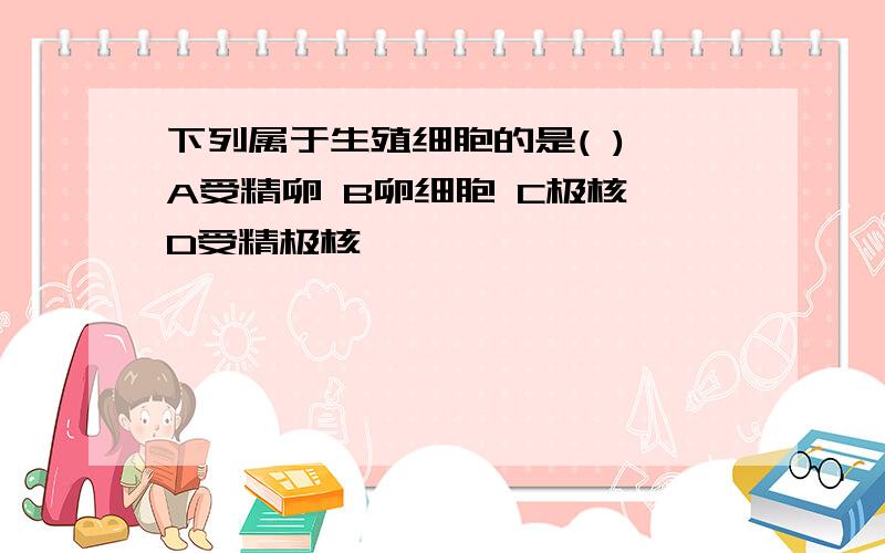 下列属于生殖细胞的是( ) A受精卵 B卵细胞 C极核 D受精极核