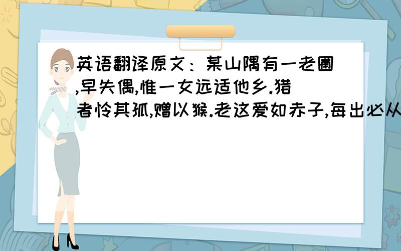 英语翻译原文：某山隅有一老圃,早失偶,惟一女远适他乡.猎者怜其孤,赠以猴.老这爱如赤子,每出必从,不链不掣,而不离不逸.如是这五年.一日,老者暴卒,猴掩门,奔其姐,泪如雨.曰：“父死乎?”