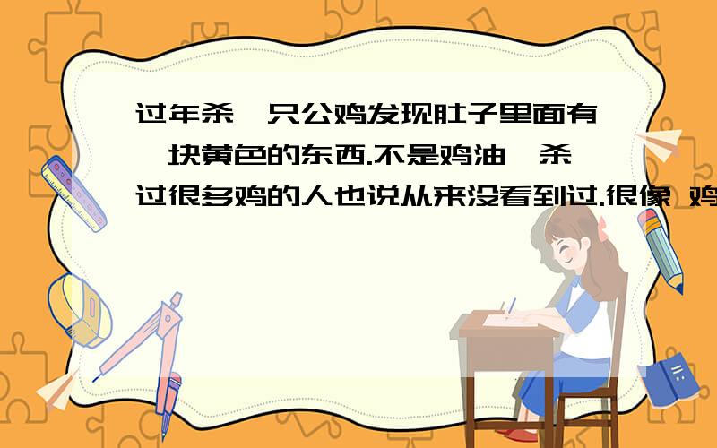 过年杀一只公鸡发现肚子里面有一块黄色的东西.不是鸡油,杀过很多鸡的人也说从来没看到过.很像 鸡宝 可