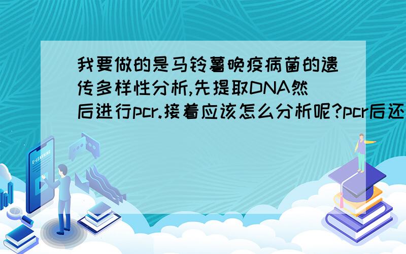 我要做的是马铃薯晚疫病菌的遗传多样性分析,先提取DNA然后进行pcr.接着应该怎么分析呢?pcr后还跑电泳吗?跑出来看条带多少来用软件分析吗?我是新手不太懂!