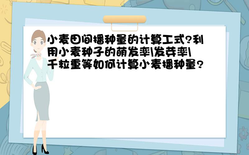 小麦田间播种量的计算工式?利用小麦种子的萌发率\发芽率\千粒重等如何计算小麦播种量?