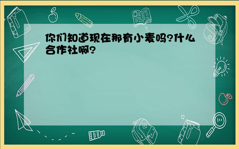 你们知道现在那有小麦吗?什么合作社啊?