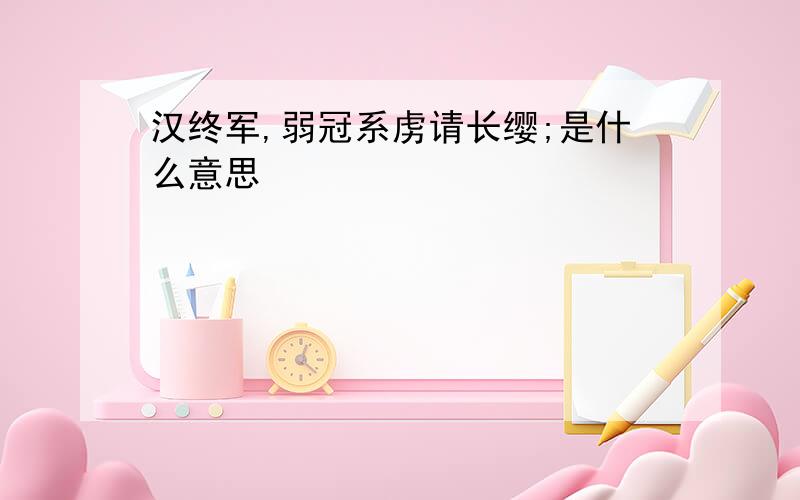 汉终军,弱冠系虏请长缨;是什么意思