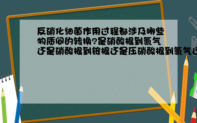 反硝化细菌作用过程都涉及哪些物质间的转换?是硝酸根到氮气还是硝酸根到铵根还是压硝酸根到氮气还是铵根到氮气还是硝酸根到压硝酸根