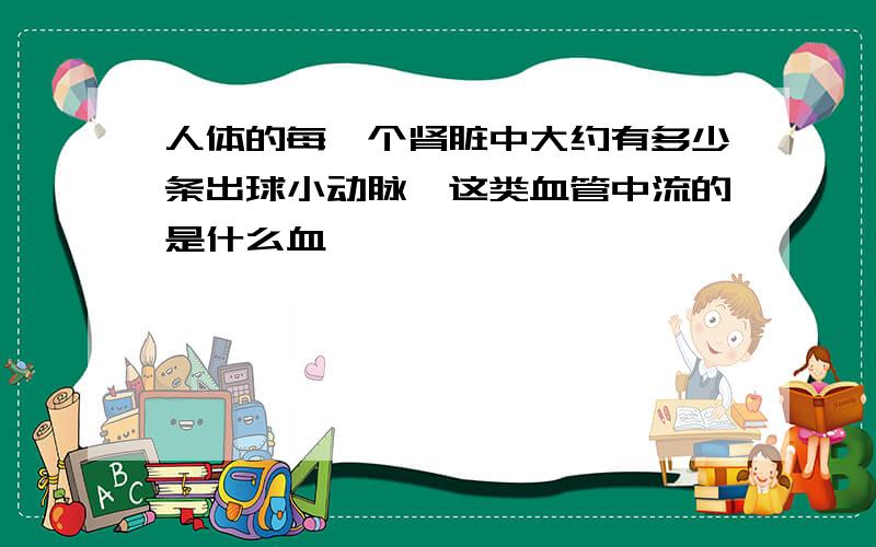 人体的每一个肾脏中大约有多少条出球小动脉,这类血管中流的是什么血