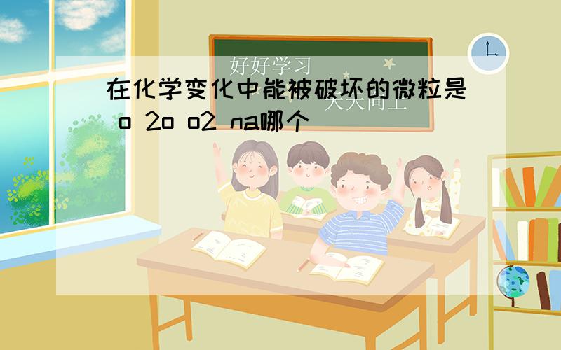 在化学变化中能被破坏的微粒是 o 2o o2 na哪个