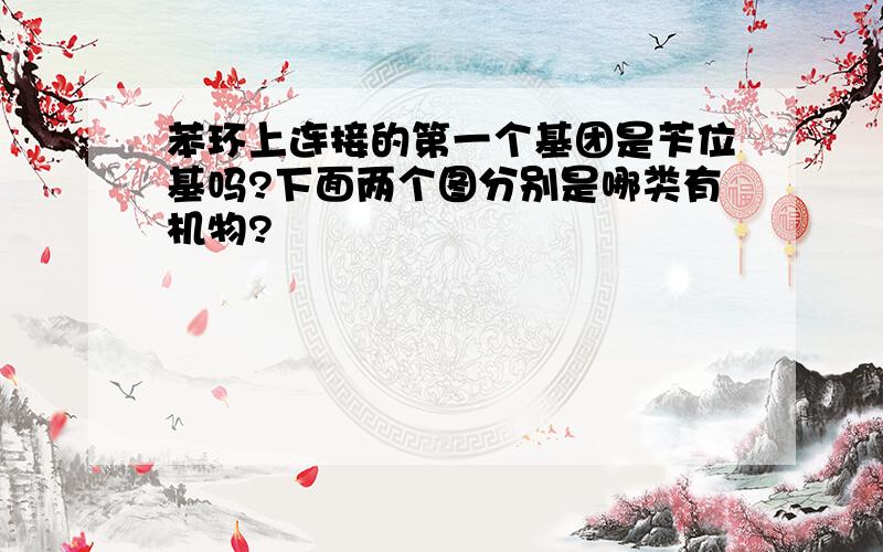 苯环上连接的第一个基团是苄位基吗?下面两个图分别是哪类有机物?