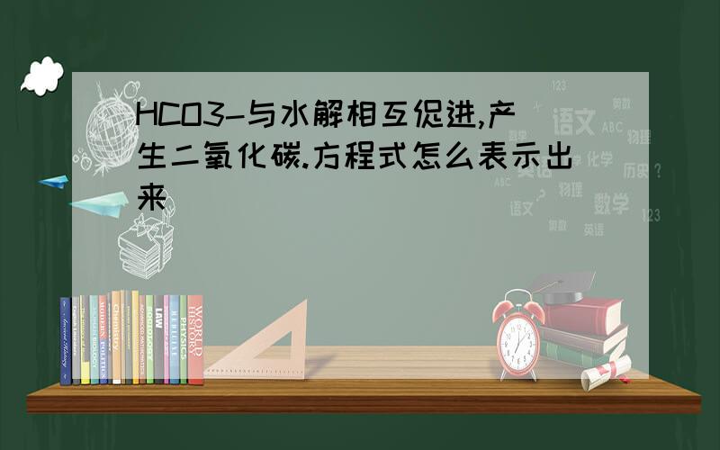 HCO3-与水解相互促进,产生二氧化碳.方程式怎么表示出来