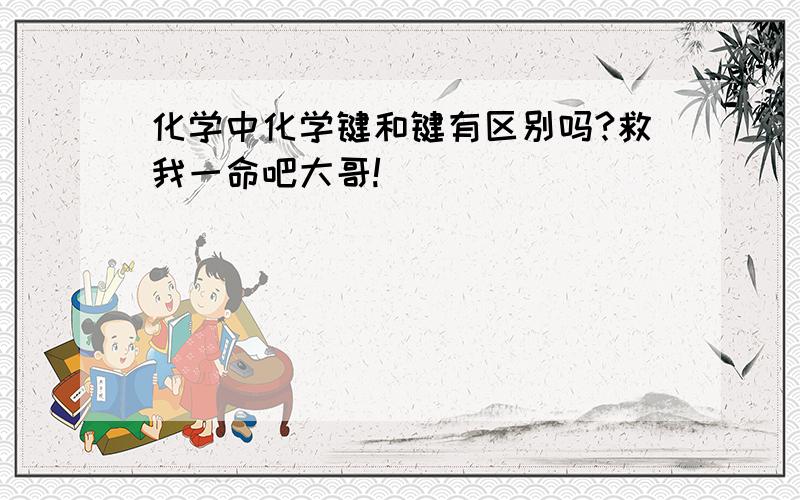 化学中化学键和键有区别吗?救我一命吧大哥!