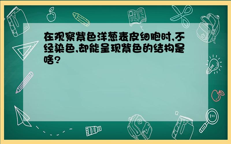 在观察紫色洋葱表皮细胞时,不经染色,却能呈现紫色的结构是啥?