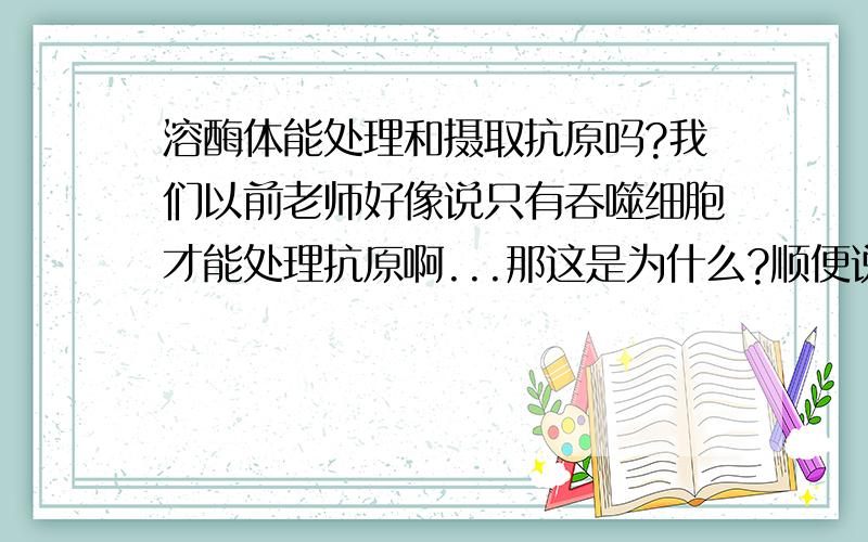 溶酶体能处理和摄取抗原吗?我们以前老师好像说只有吞噬细胞才能处理抗原啊...那这是为什么?顺便说一下C为什么不合理.