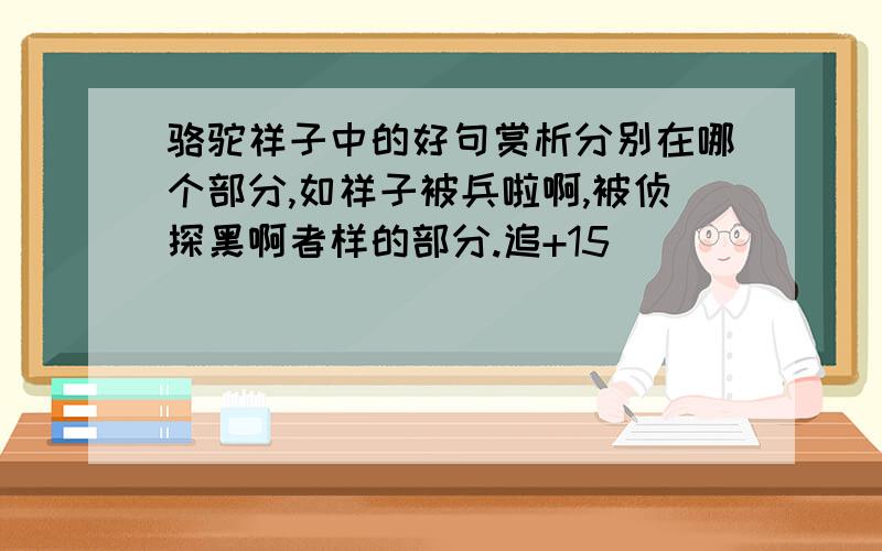 骆驼祥子中的好句赏析分别在哪个部分,如祥子被兵啦啊,被侦探黑啊者样的部分.追+15