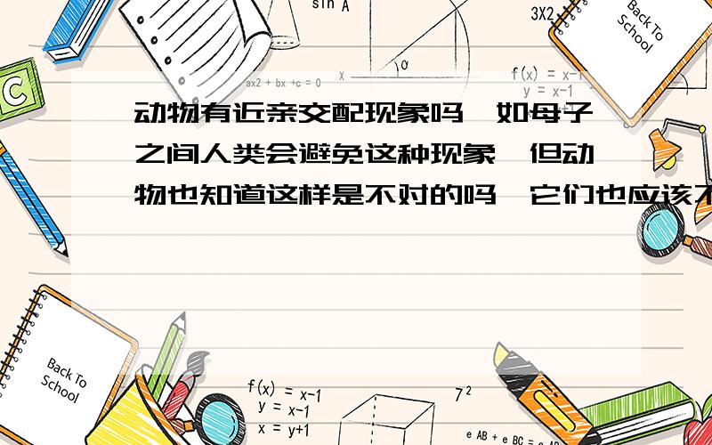 动物有近亲交配现象吗,如母子之间人类会避免这种现象,但动物也知道这样是不对的吗,它们也应该不会这样做吧,人和其他动物都是动物是一样的,都应该有同样的认知吧?因为我没发现动物有