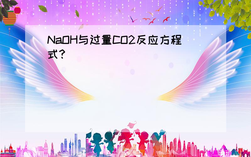 NaOH与过量CO2反应方程式?