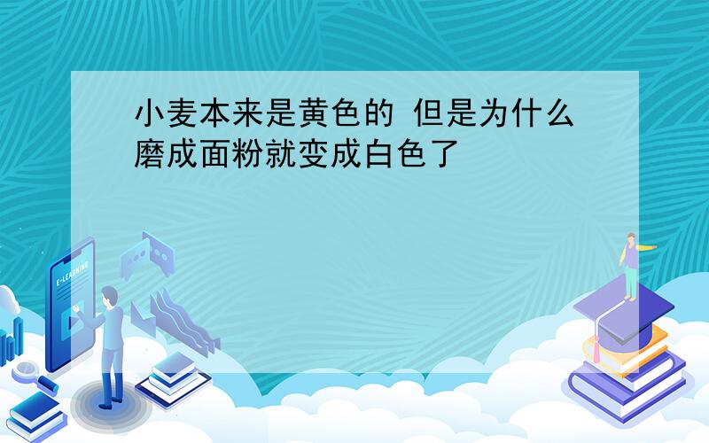 小麦本来是黄色的 但是为什么磨成面粉就变成白色了