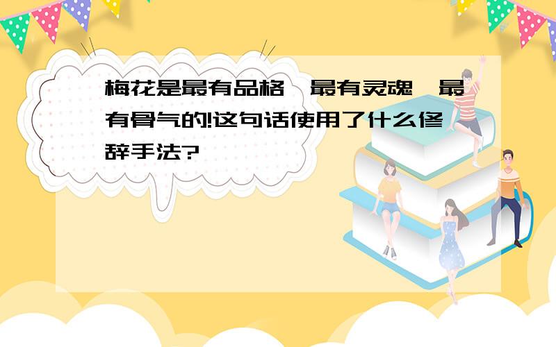 梅花是最有品格、最有灵魂、最有骨气的!这句话使用了什么修辞手法?