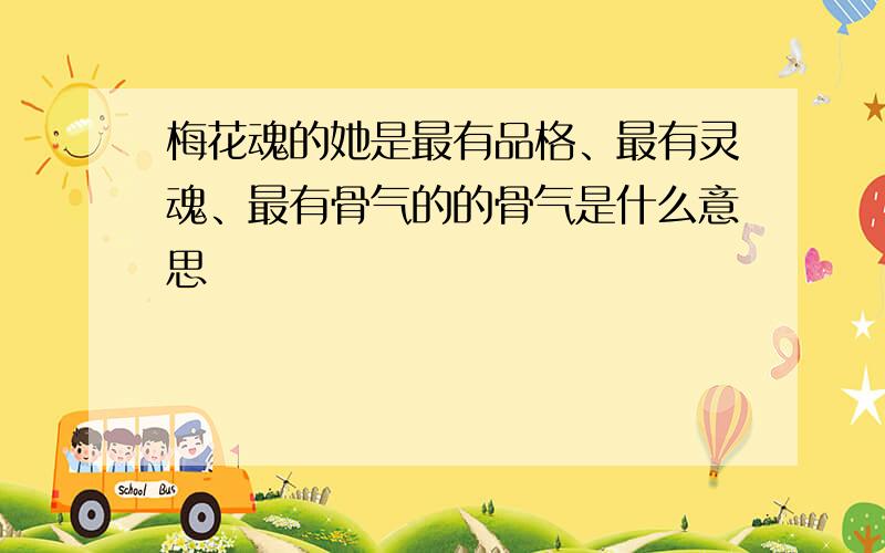 梅花魂的她是最有品格、最有灵魂、最有骨气的的骨气是什么意思