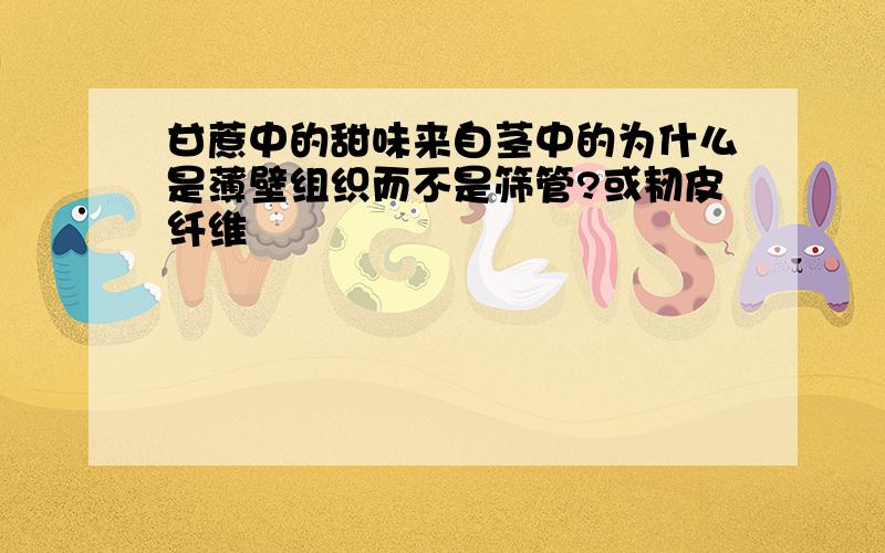 甘蔗中的甜味来自茎中的为什么是薄壁组织而不是筛管?或韧皮纤维