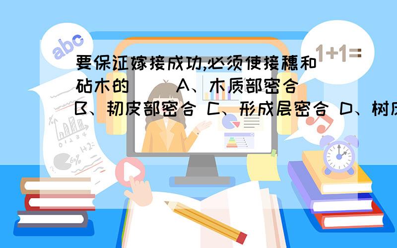 要保证嫁接成功,必须使接穗和砧木的（ ）A、木质部密合 B、韧皮部密合 C、形成层密合 D、树皮密合