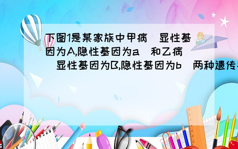 下图1是某家族中甲病（显性基因为A,隐性基因为a）和乙病（显性基因为B,隐性基因为b）两种遗传病的系谱图.控制甲乙两种遗传病的基因分别位于两对同源染色体上.经DNA分子结构分析,发现乙