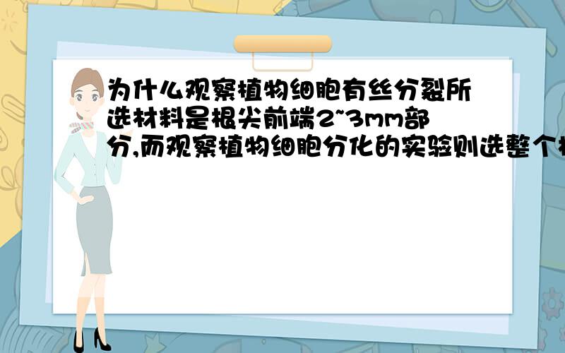 为什么观察植物细胞有丝分裂所选材料是根尖前端2~3mm部分,而观察植物细胞分化的实验则选整个根尖?