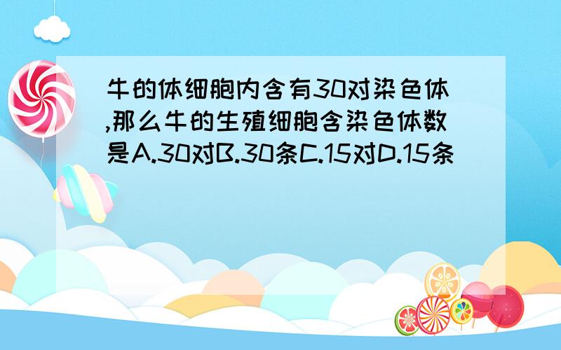 牛的体细胞内含有30对染色体,那么牛的生殖细胞含染色体数是A.30对B.30条C.15对D.15条