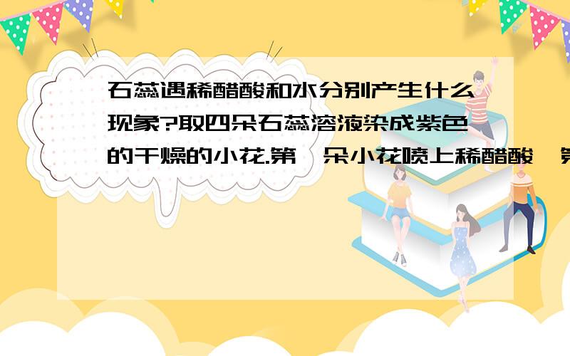 石蕊遇稀醋酸和水分别产生什么现象?取四朵石蕊溶液染成紫色的干燥的小花.第一朵小花喷上稀醋酸,第二朵小花喷上水,第三朵小花直接放入盛满二氧化碳的集气瓶中,第四朵小花喷上水后,再