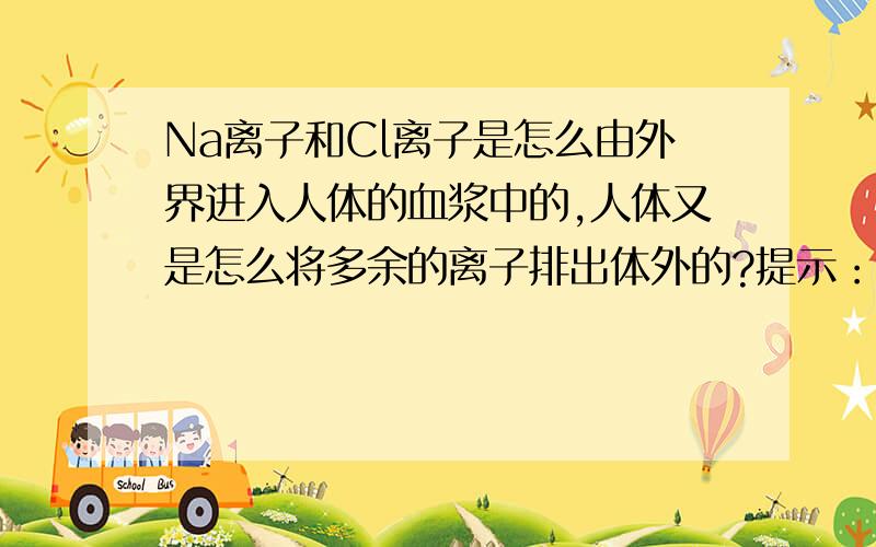 Na离子和Cl离子是怎么由外界进入人体的血浆中的,人体又是怎么将多余的离子排出体外的?提示：（1）与人体的哪些器官系统有关（2）与相关器官系统中的哪些生理作用有关.