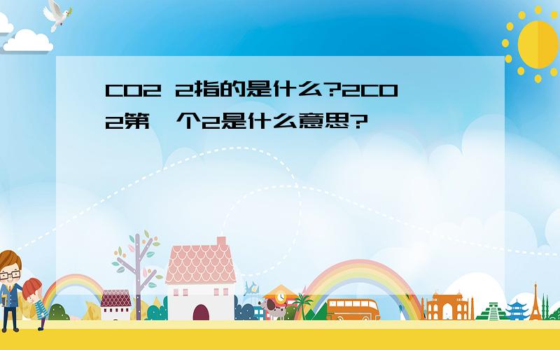 CO2 2指的是什么?2CO2第一个2是什么意思?