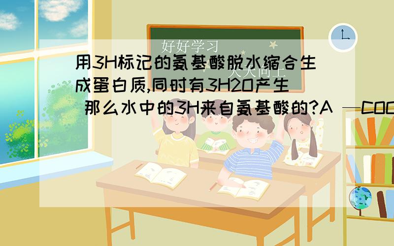 用3H标记的氨基酸脱水缩合生成蛋白质,同时有3H2O产生 那么水中的3H来自氨基酸的?A —COOH B NH2 C —R D —COOH和 —NH2