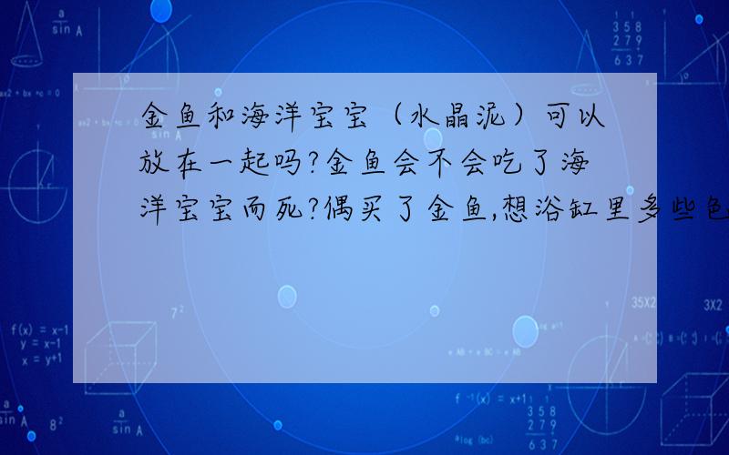 金鱼和海洋宝宝（水晶泥）可以放在一起吗?金鱼会不会吃了海洋宝宝而死?偶买了金鱼,想浴缸里多些色彩,想放点海洋宝宝,又怕金鱼会吃了海洋宝宝而死掉.请专家指点.海洋宝宝我会等涨大了