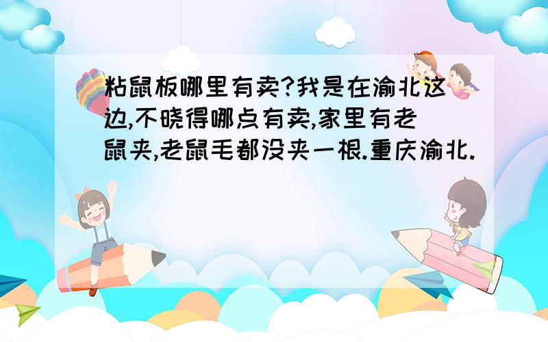 粘鼠板哪里有卖?我是在渝北这边,不晓得哪点有卖,家里有老鼠夹,老鼠毛都没夹一根.重庆渝北.