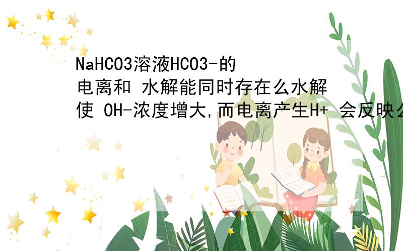 NaHCO3溶液HCO3-的电离和 水解能同时存在么水解使 OH-浓度增大,而电离产生H+ 会反映么?\详细解释下